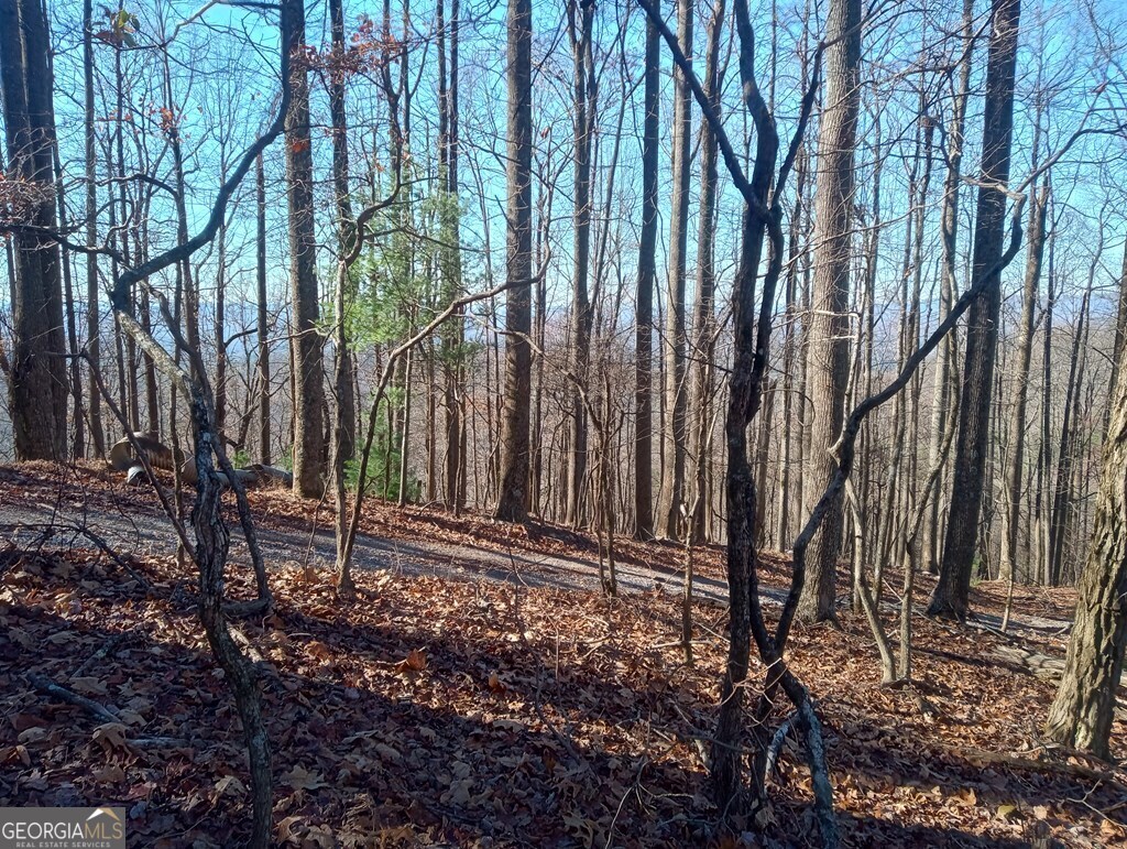 Lt M214 Walnut Ridge # M214 Property Photo 15