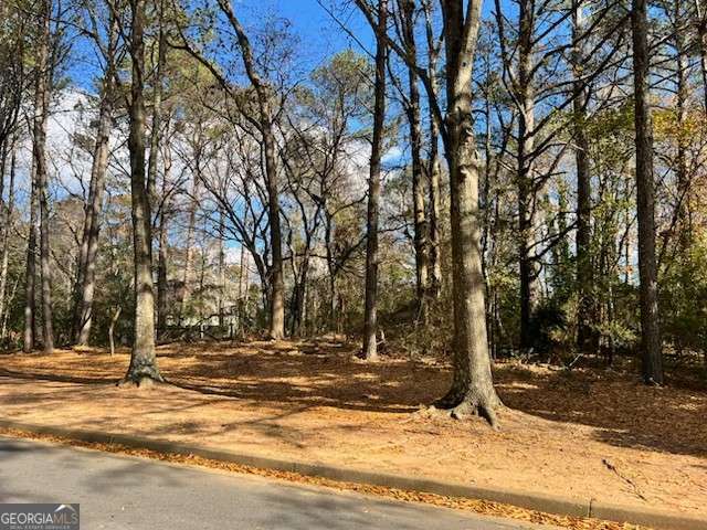 0 Chaffin Road Property Photo 2