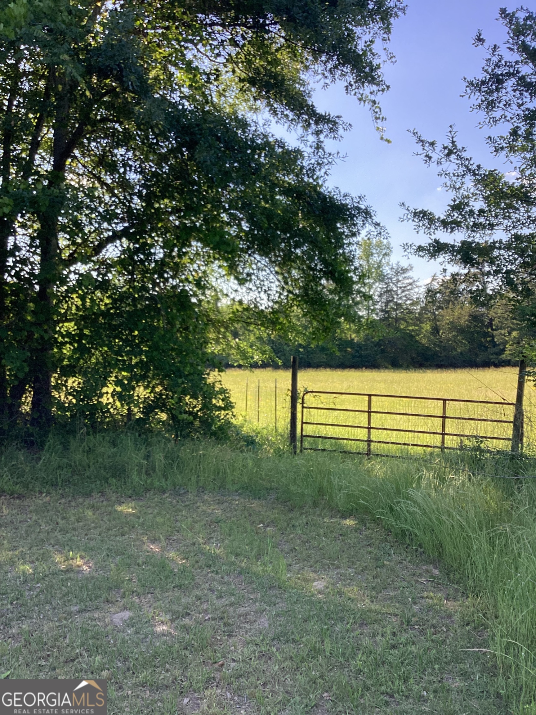 40 Allgood Road Property Photo 25