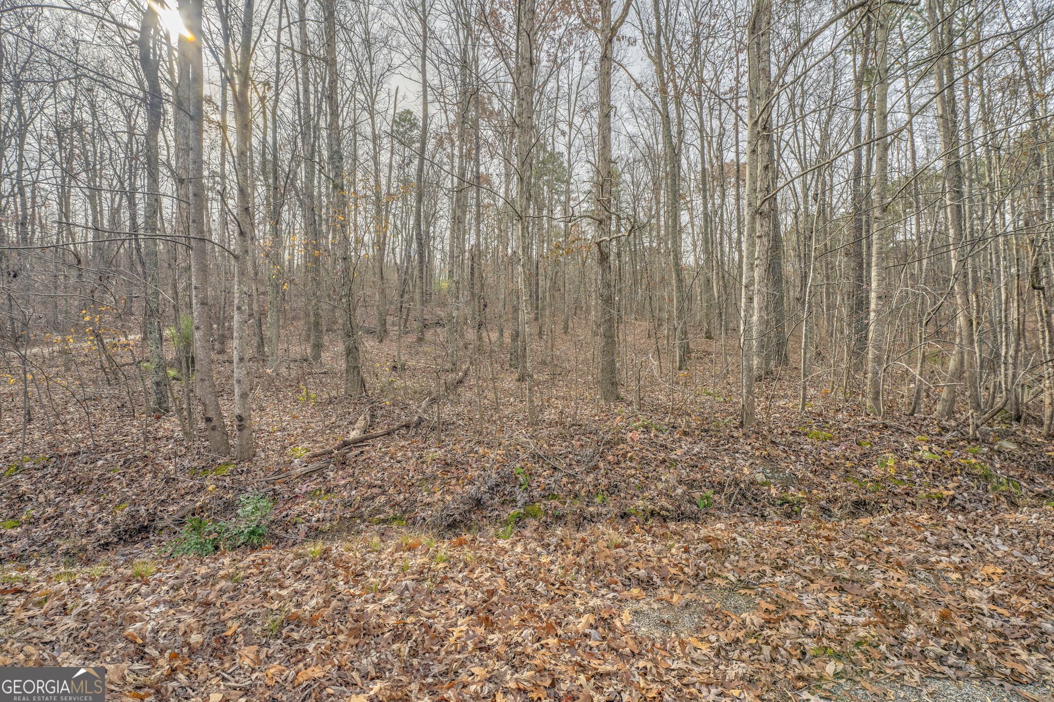 000 Flowery Branch Road Property Photo