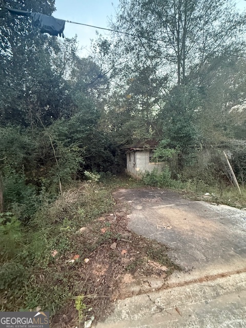 224 Alice Walker Drive Property Photo 2