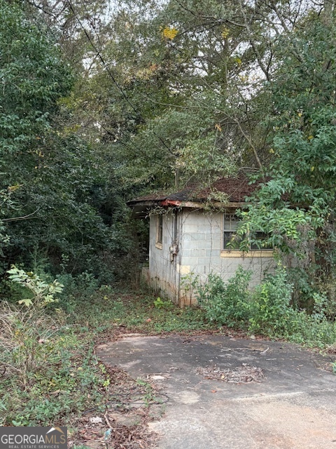 224 Alice Walker Drive Property Photo 3