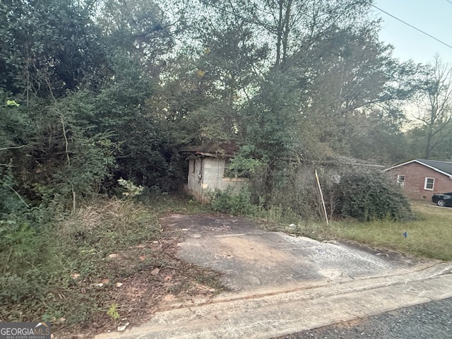 224 Alice Walker Drive Property Photo 4