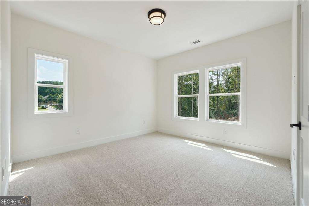 3920 Clifton Hill Court Property Photo 30