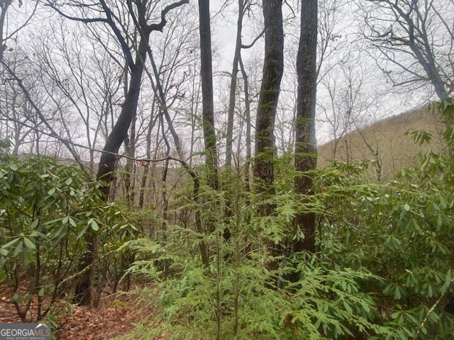 Lot 17 Ridgepole Drive Property Photo 1