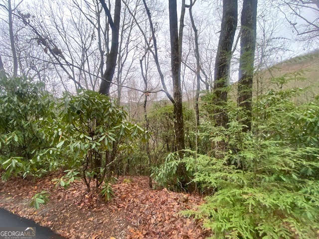 Lot 17 Ridgepole Drive Property Photo 2