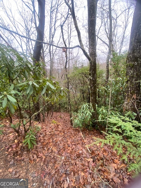 Lot 17 Ridgepole Drive Property Photo 3