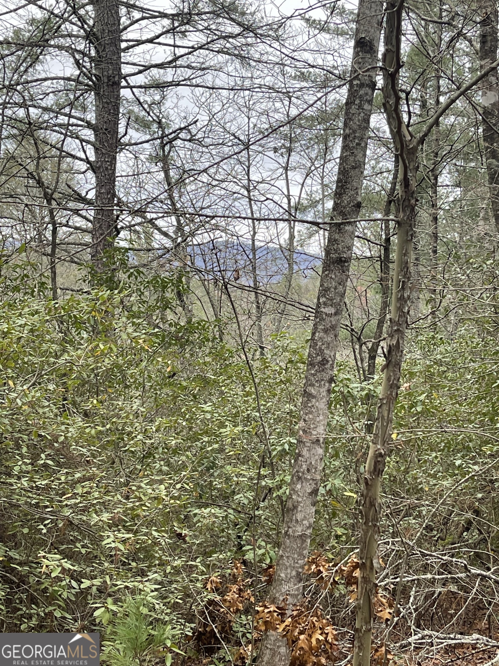 00 Hidden Falls Drive Lot 6 Property Photo