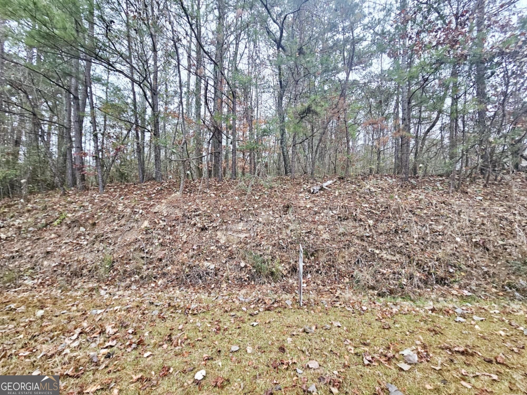 0 Dowdy Road Property Photo 3