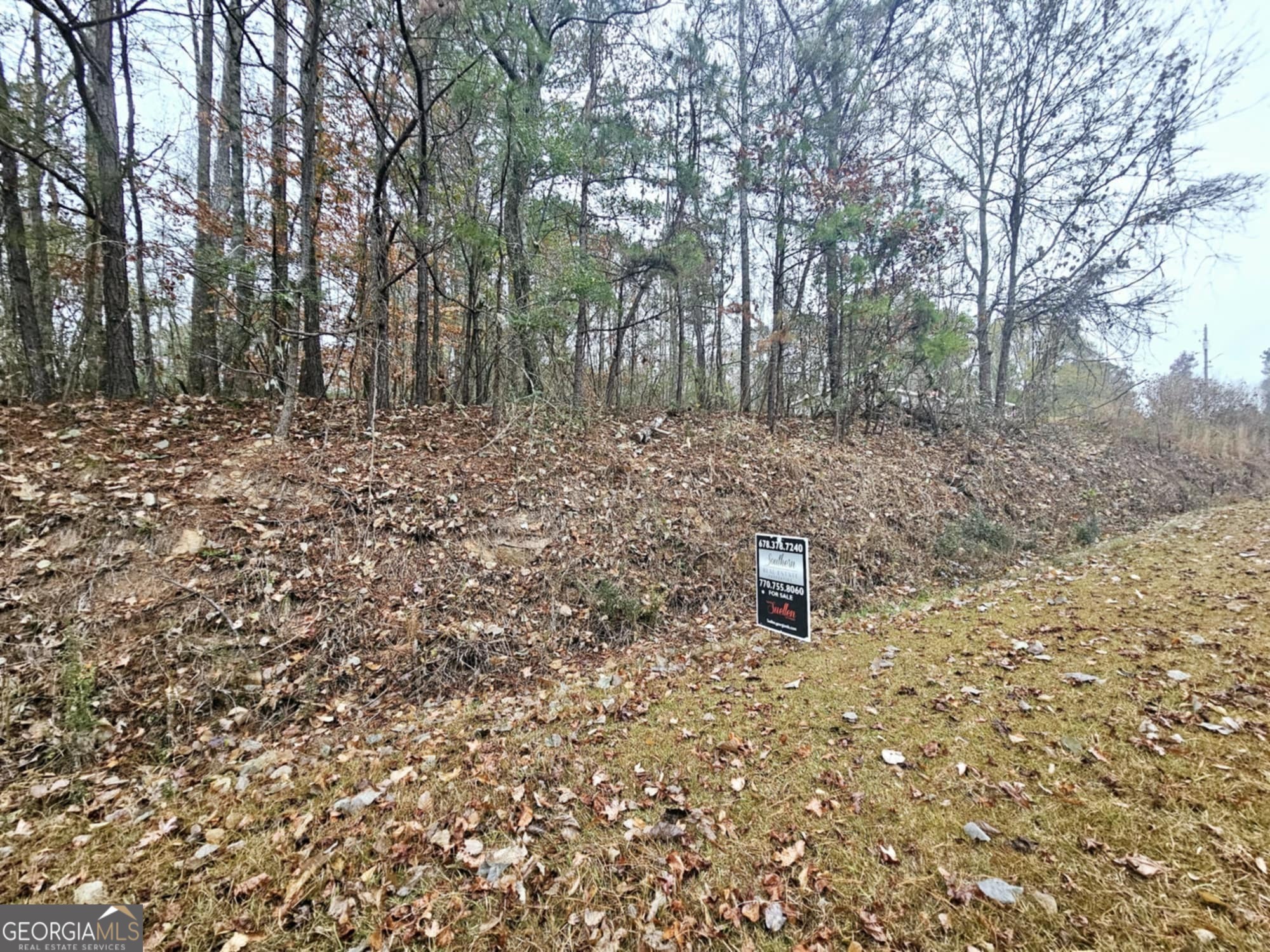 0 Dowdy Road Property Photo 4