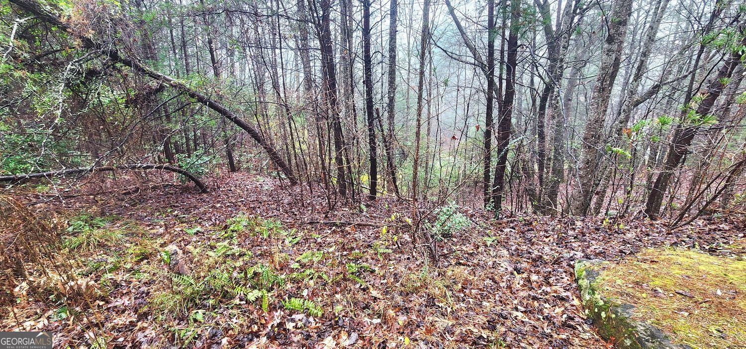 Lot 97 Zeppelin Strasse Property Photo 5