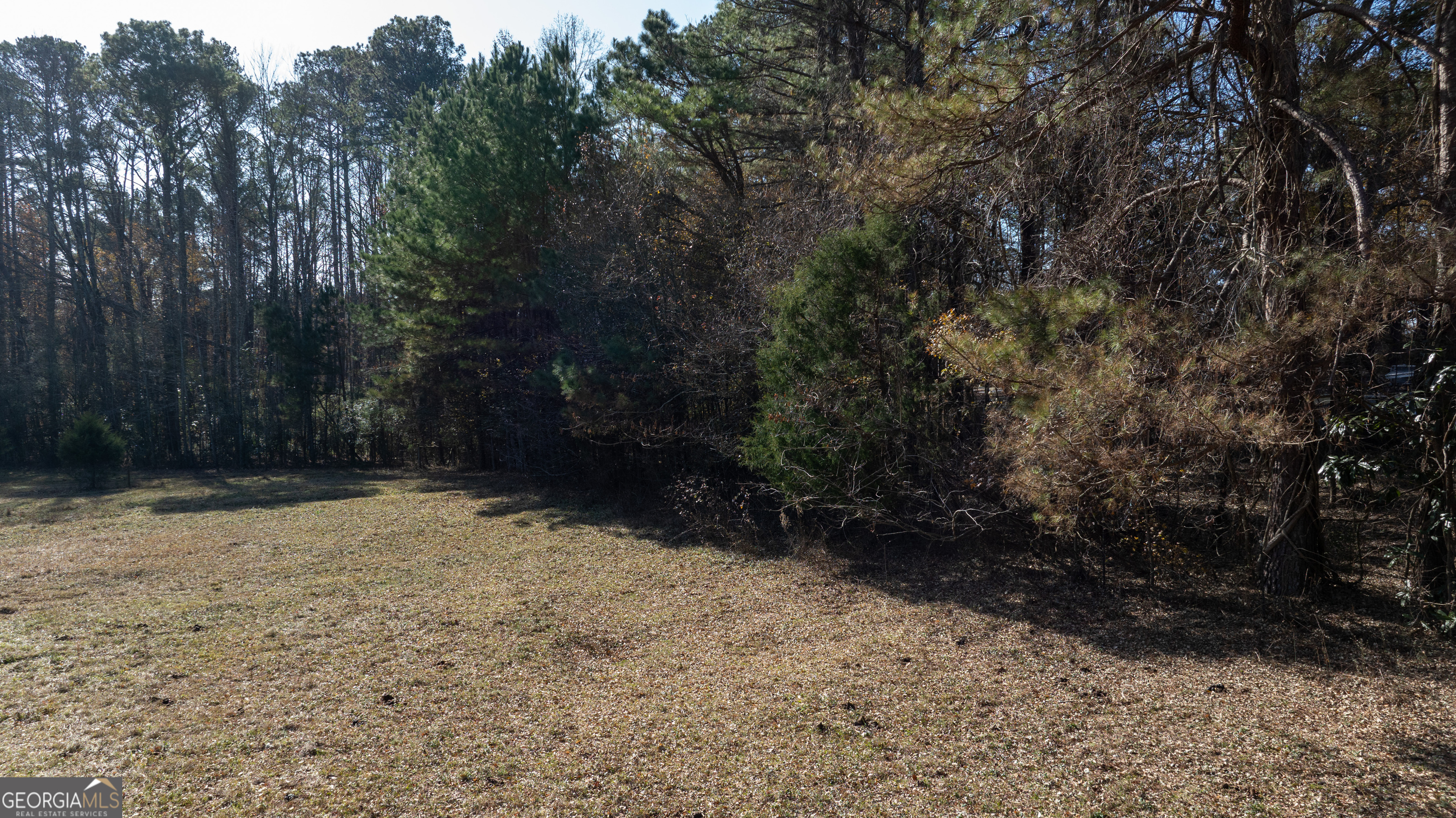 0 Mcintosh Trail Property Photo 9
