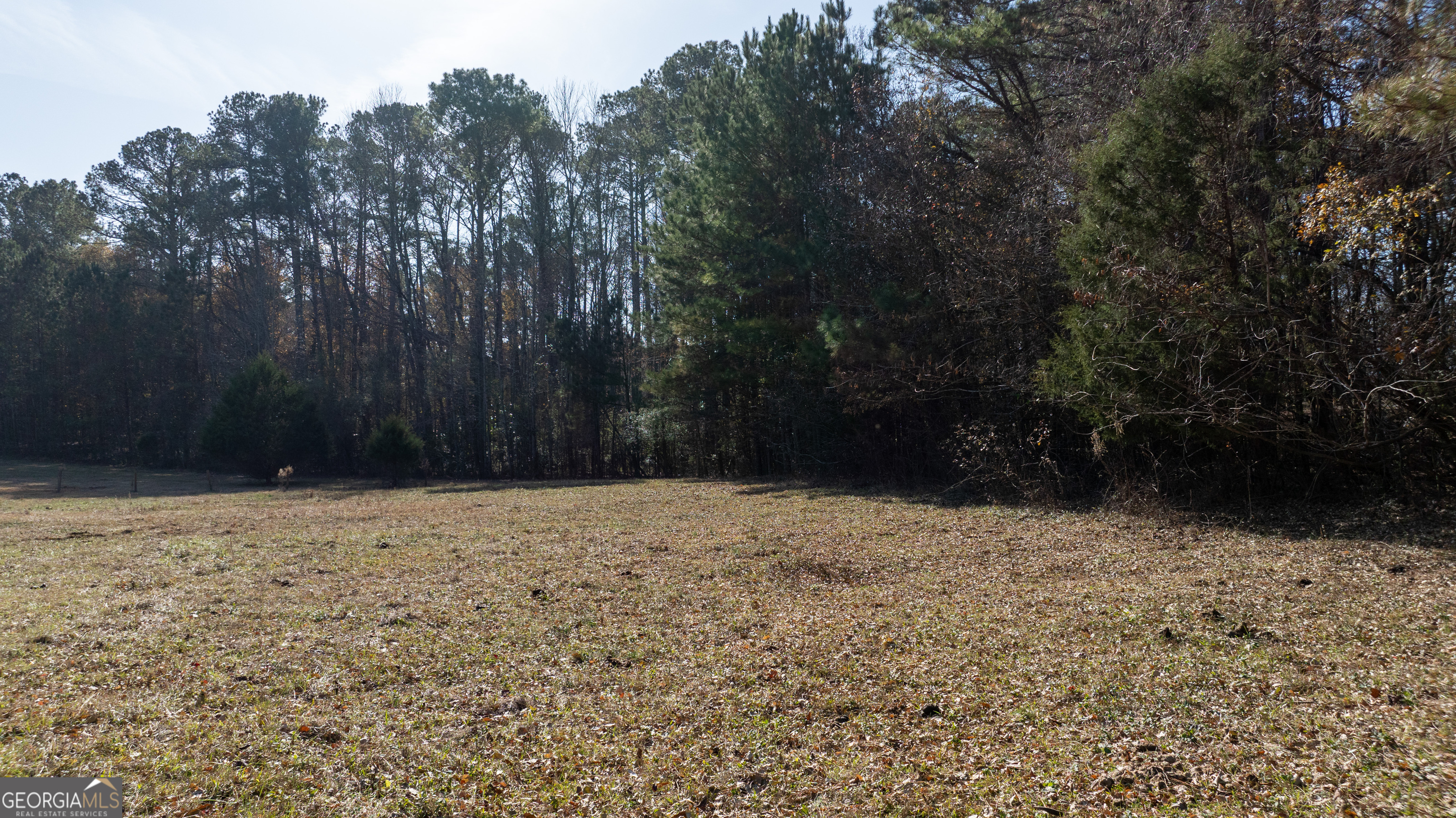 0 Mcintosh Trail Property Photo 10