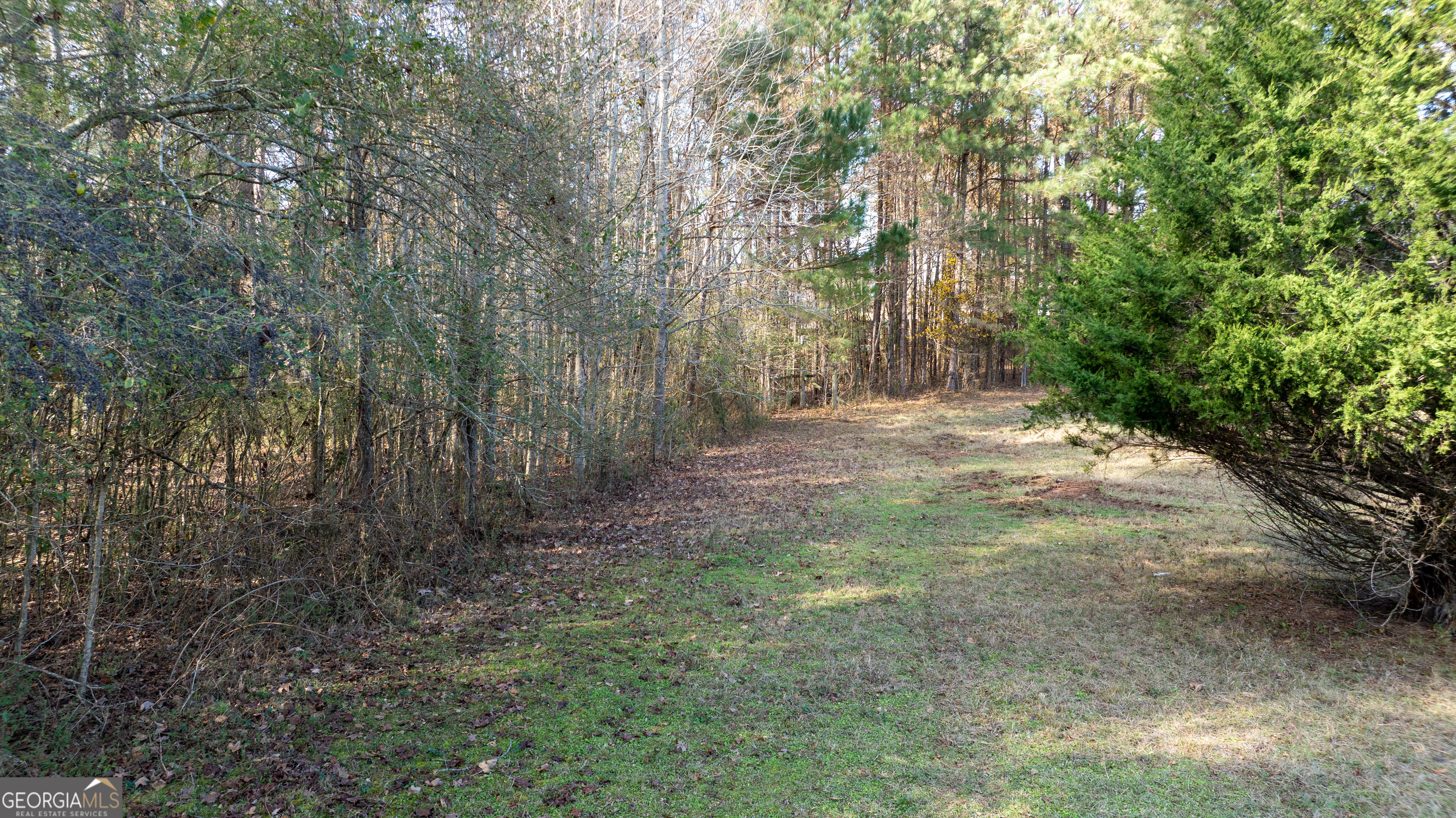 0 Mcintosh Trail Property Photo 16