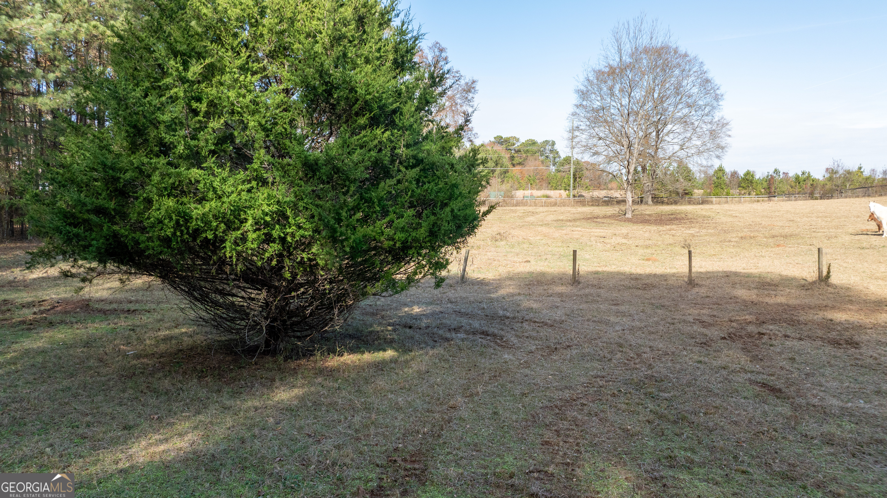 0 Mcintosh Trail Property Photo 17