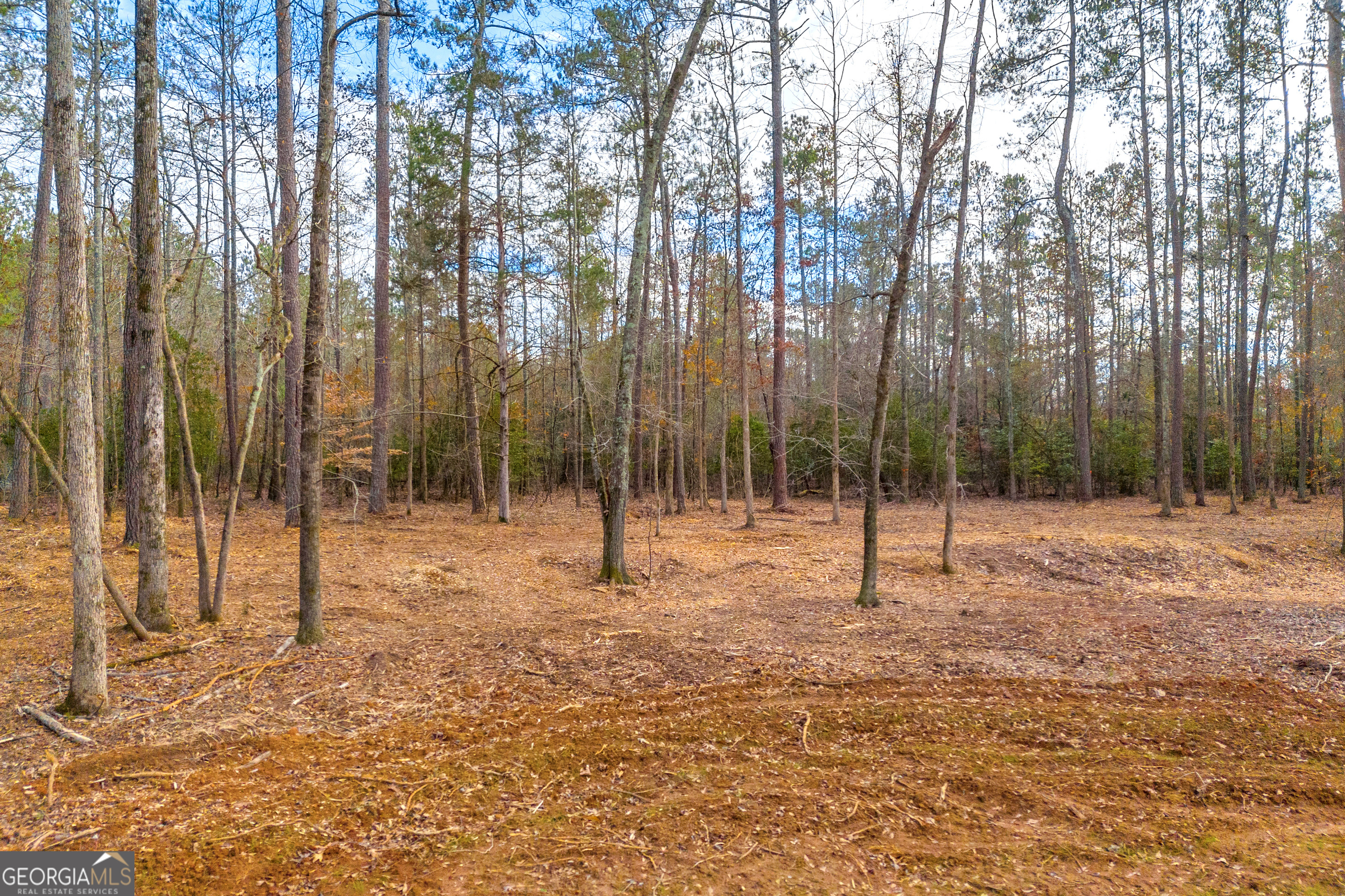 2401 Moores Ford Road Property Photo 13