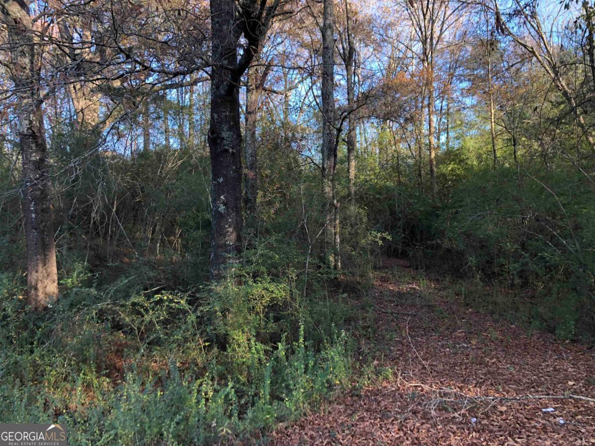 0 Monticello Road Property Photo 2