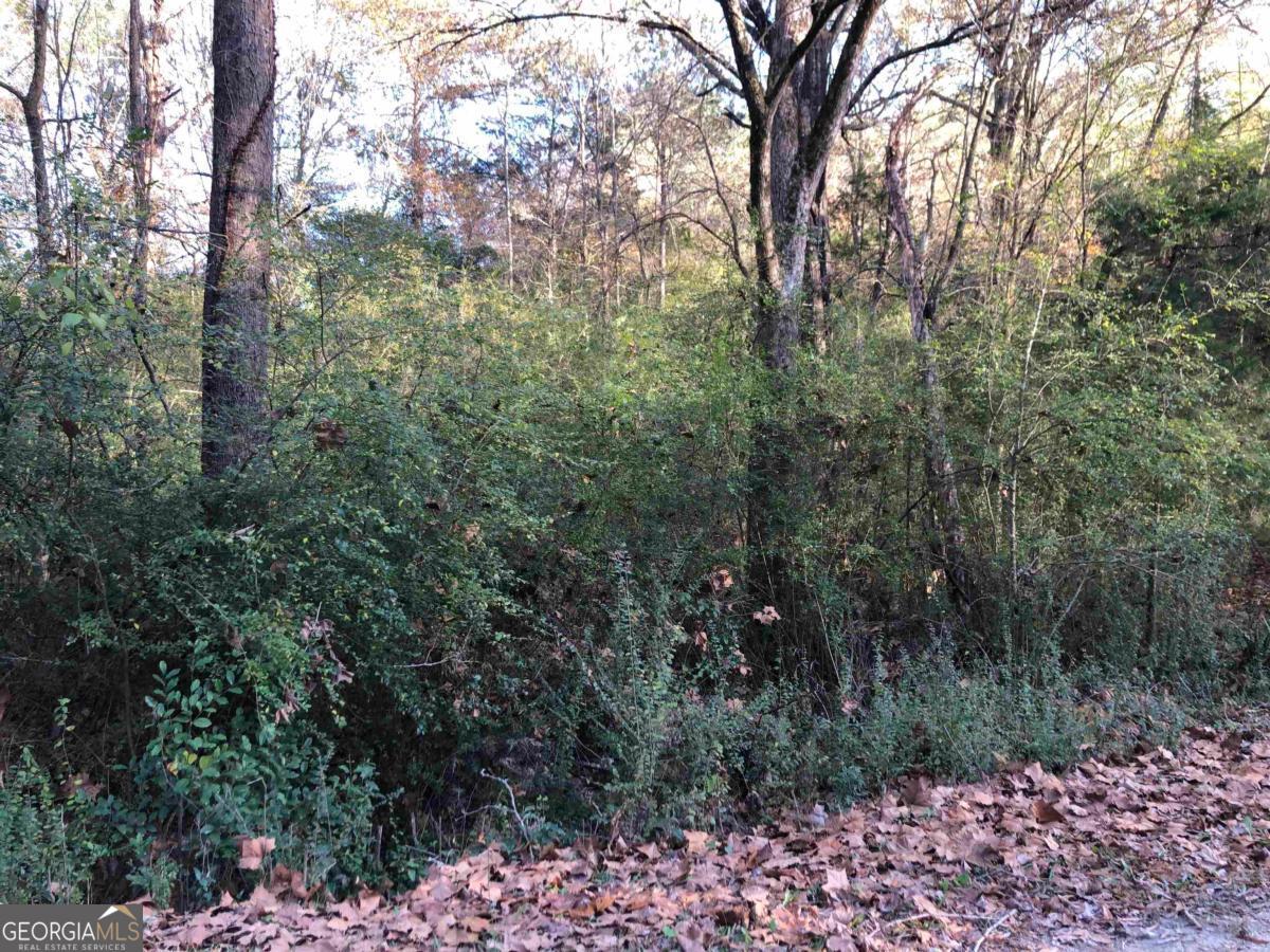 0 Monticello Road Property Photo 4