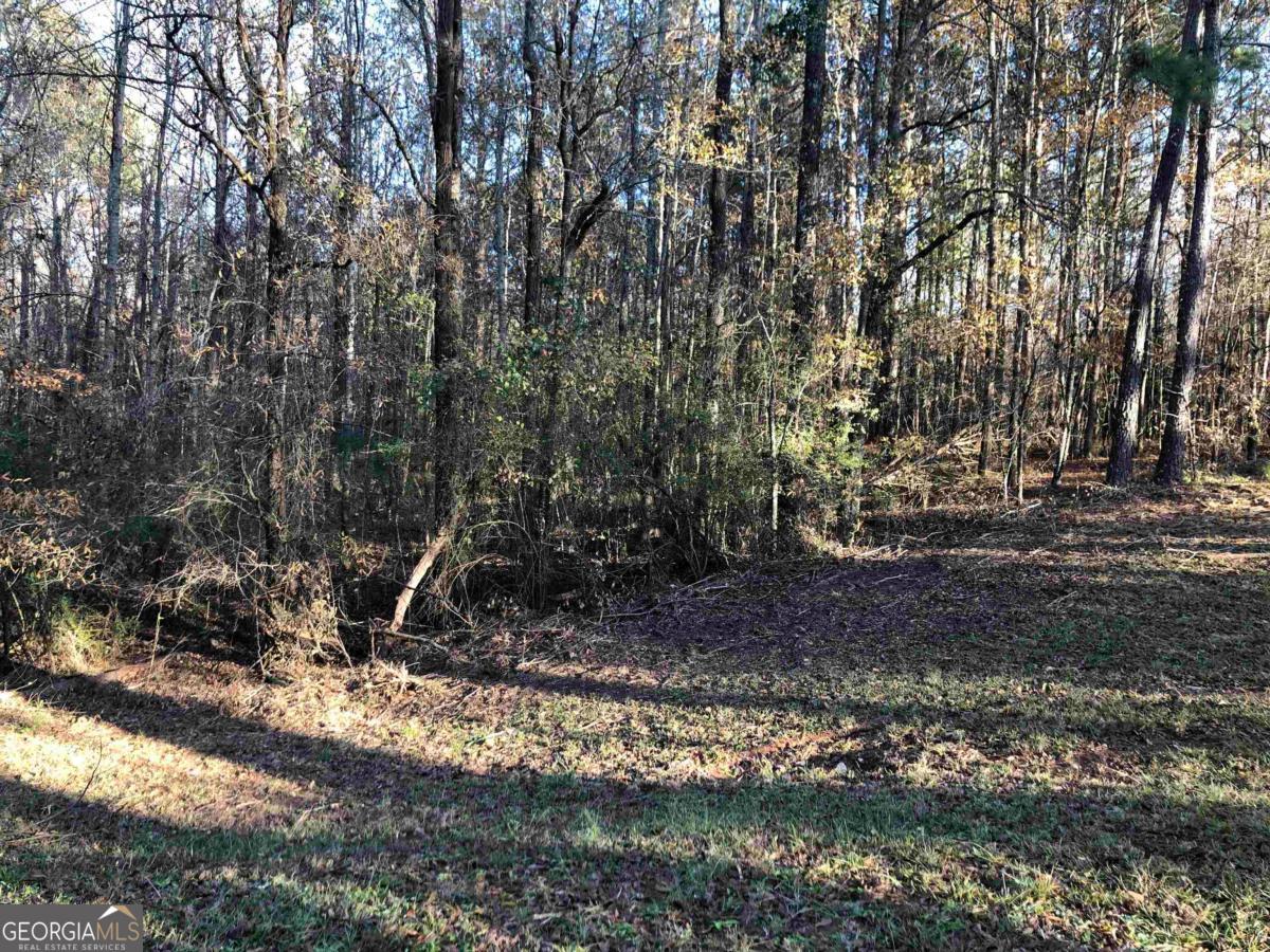 0 Monticello Road Property Photo 6