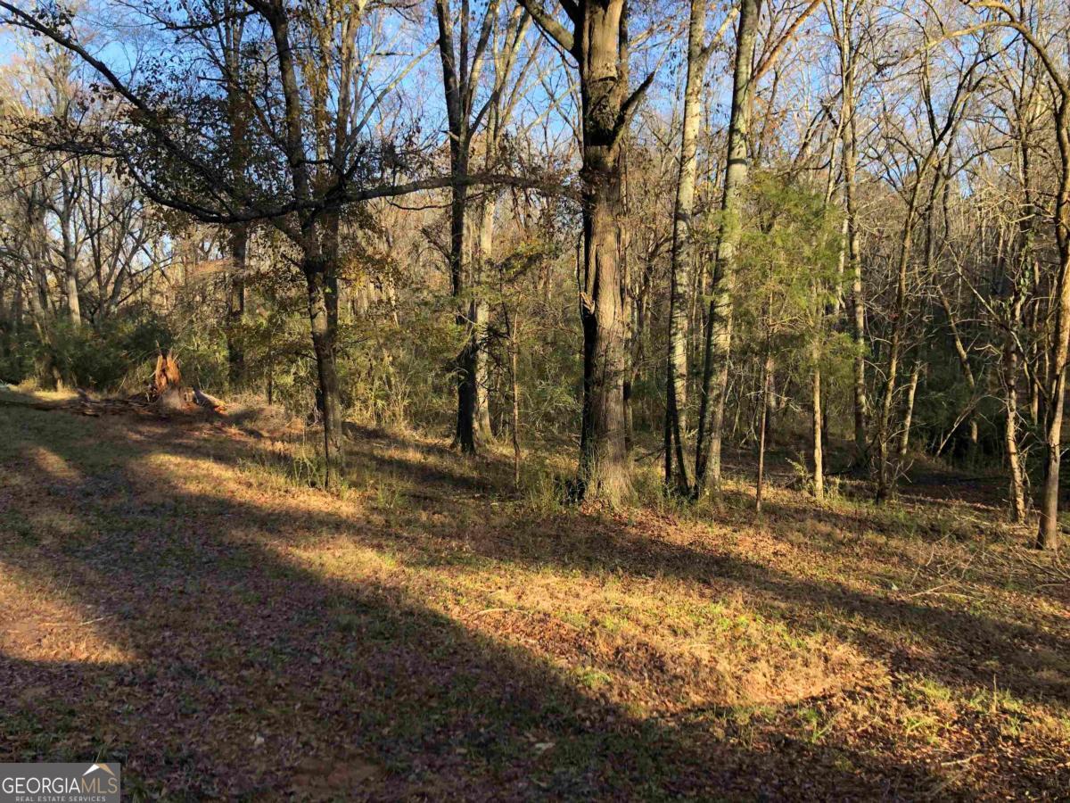 0 Monticello Road Property Photo 11