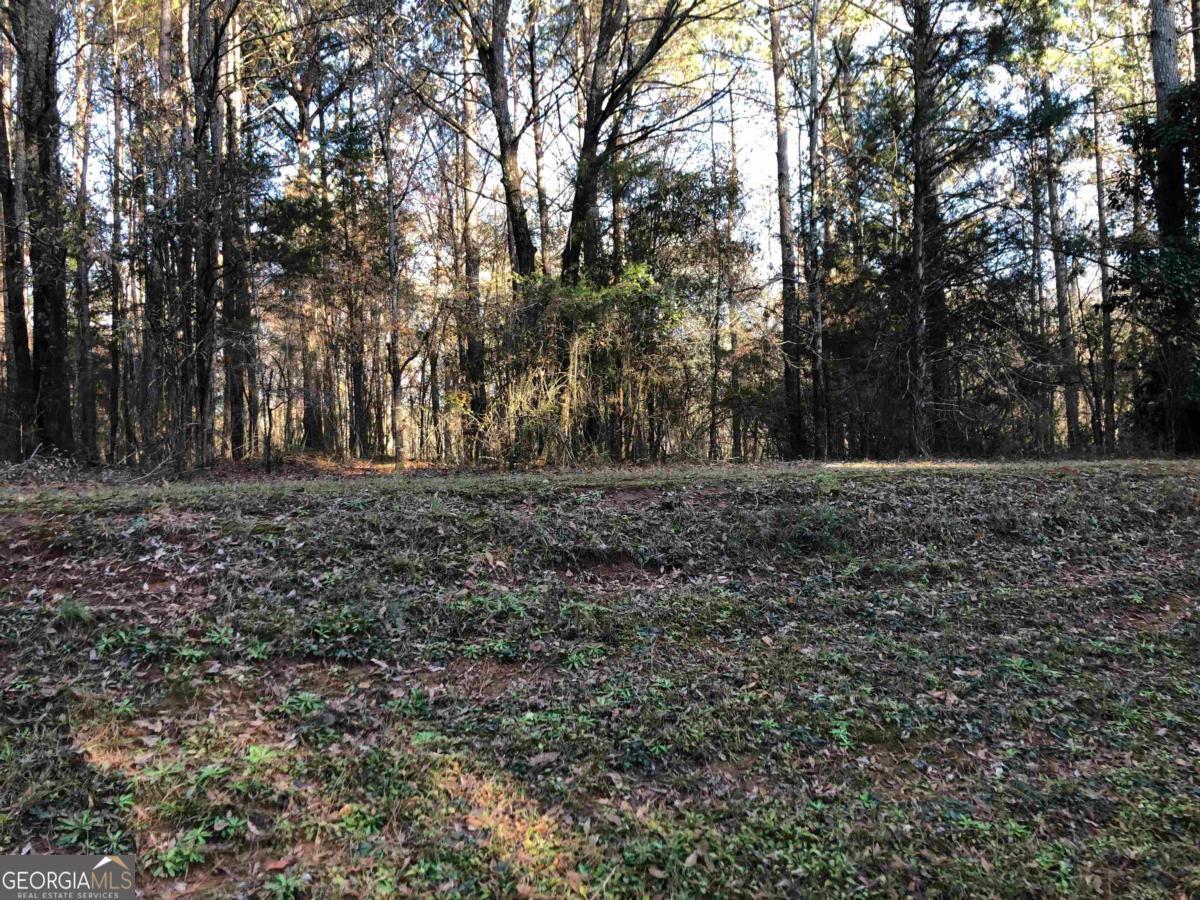 0 Monticello Road Property Photo 12