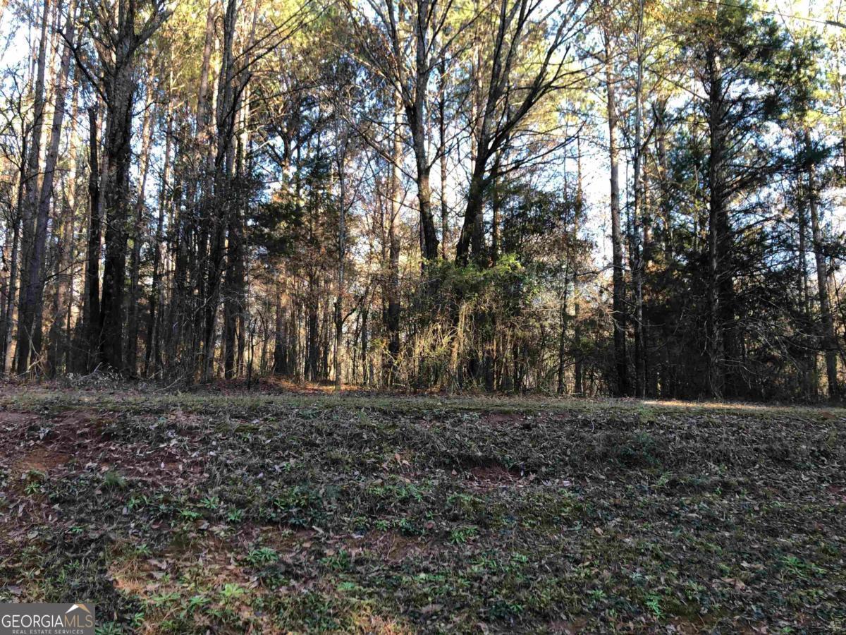 0 Monticello Road Property Photo 13