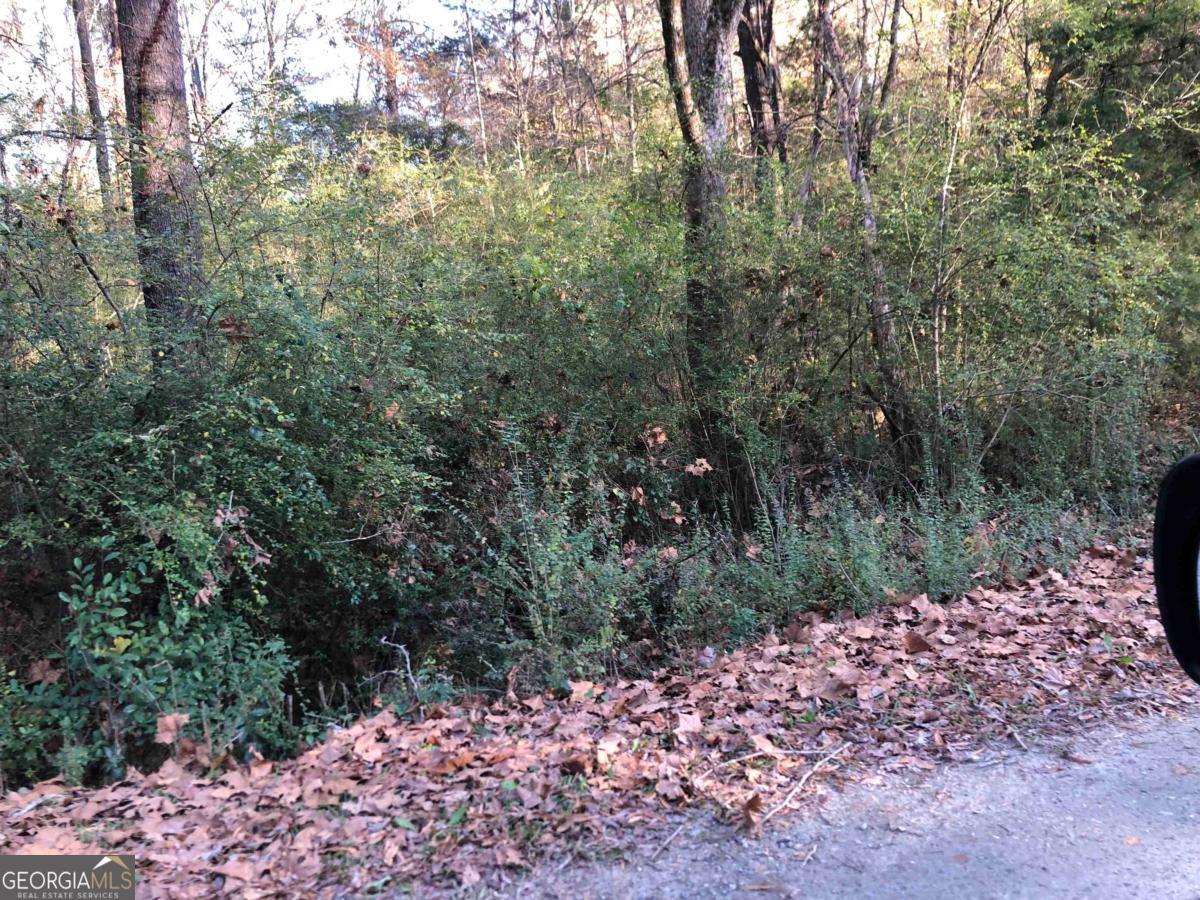 0 Monticello Road Property Photo 15