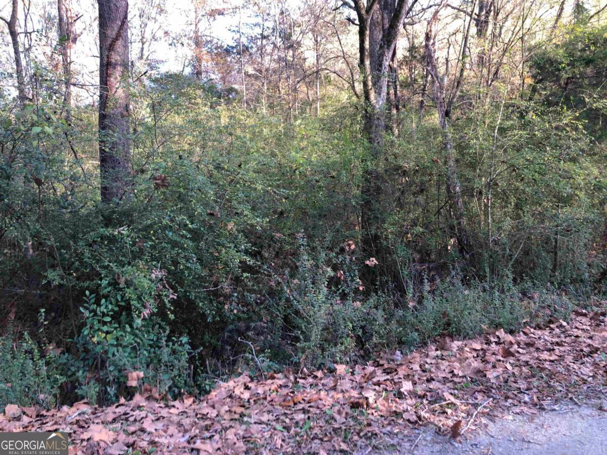 0 Monticello Road Property Photo 16