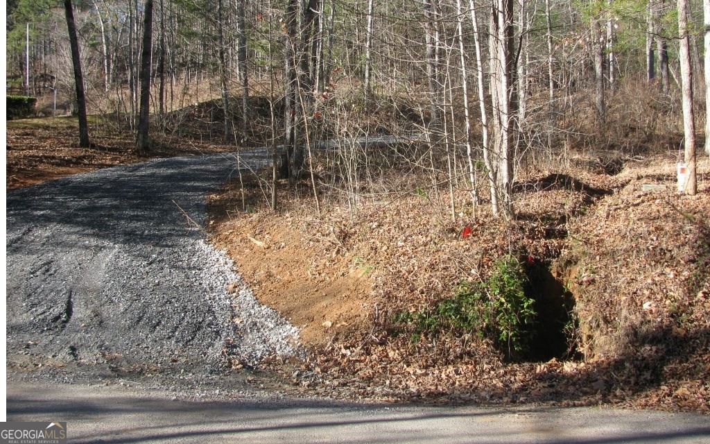 #68 Summerwood Lane Property Photo 1