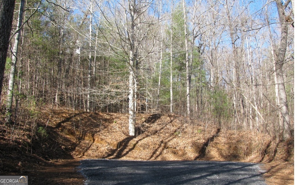 #68 Summerwood Lane Property Photo 2