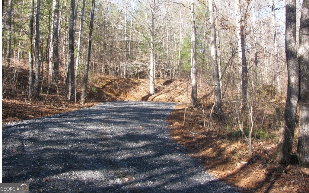 #68 Summerwood Lane Property Photo 3