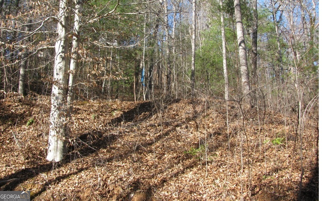 #68 Summerwood Lane Property Photo 5