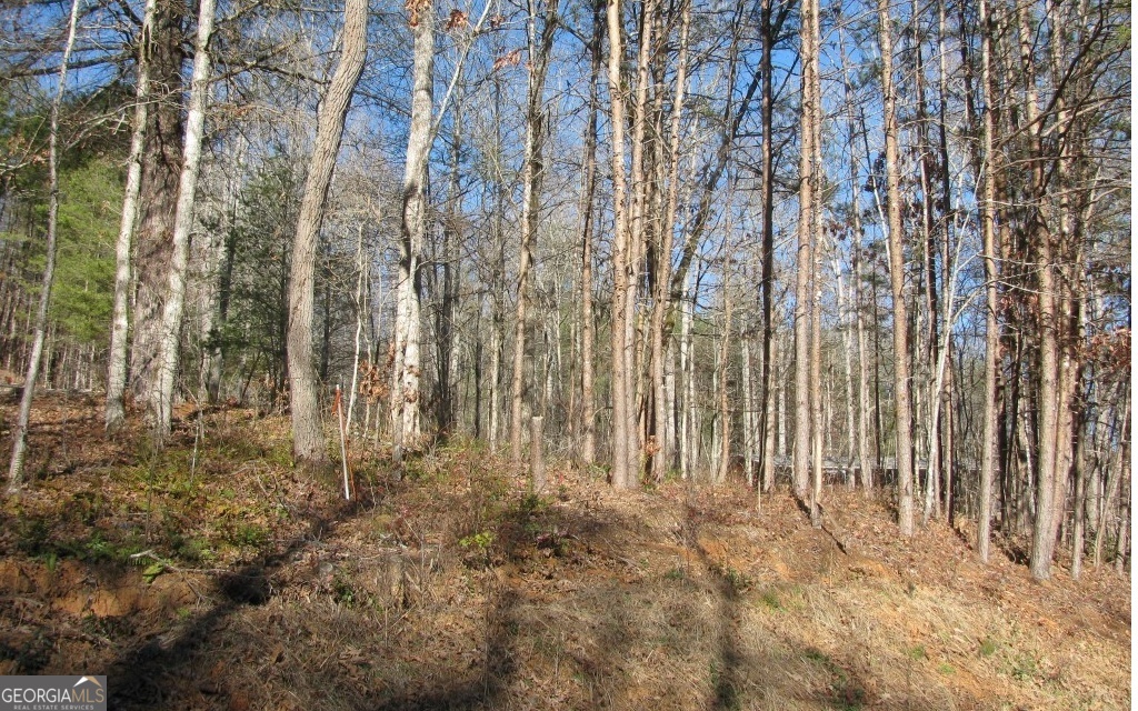 #68 Summerwood Lane Property Photo 6
