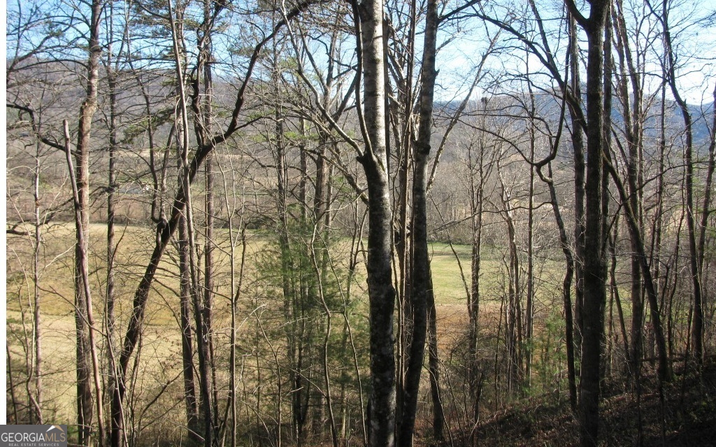 #39 Pinecrest Road Property Photo 1