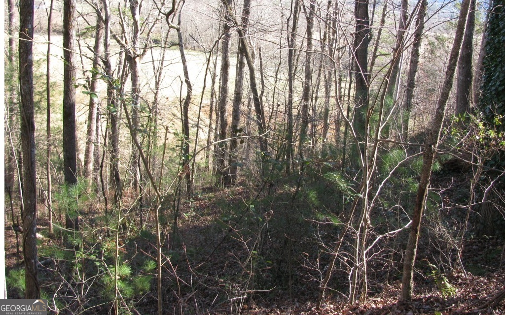 #39 Pinecrest Road Property Photo 2