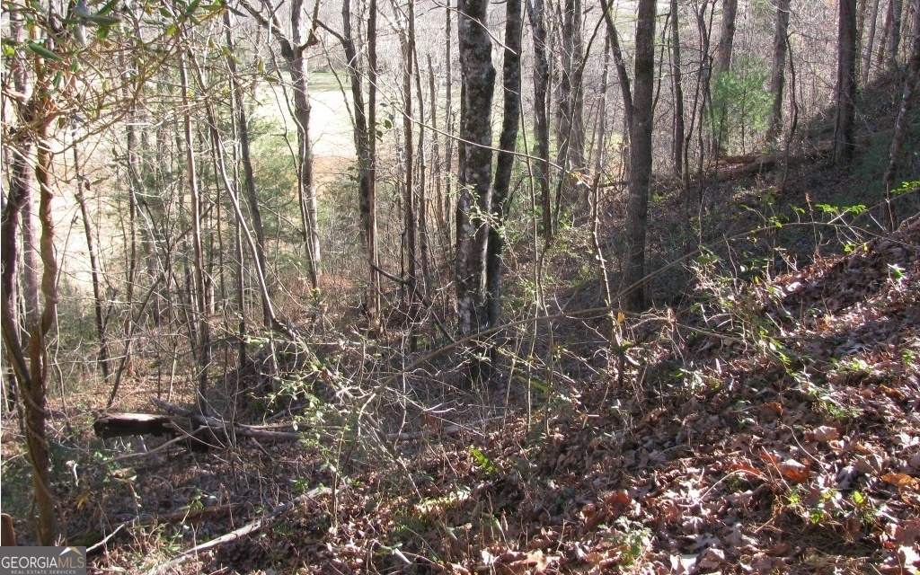 #39 Pinecrest Road Property Photo 3