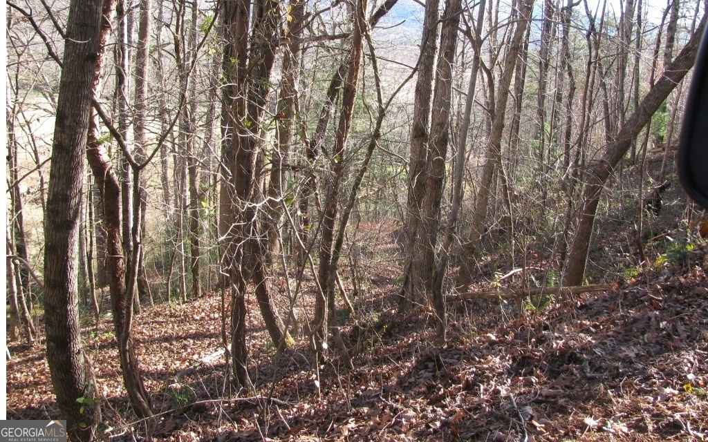 #39 Pinecrest Road Property Photo 4