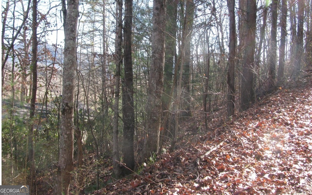 #39 Pinecrest Road Property Photo 5