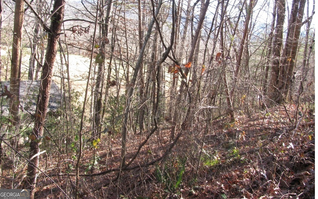 #39 Pinecrest Road Property Photo 6