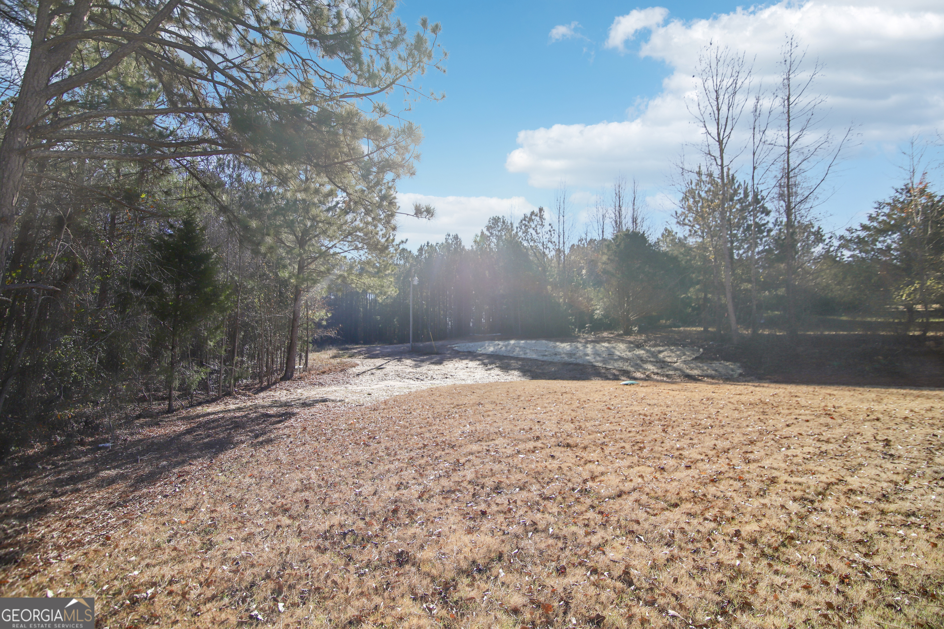 233 Irish Hill Drive Property Photo 11