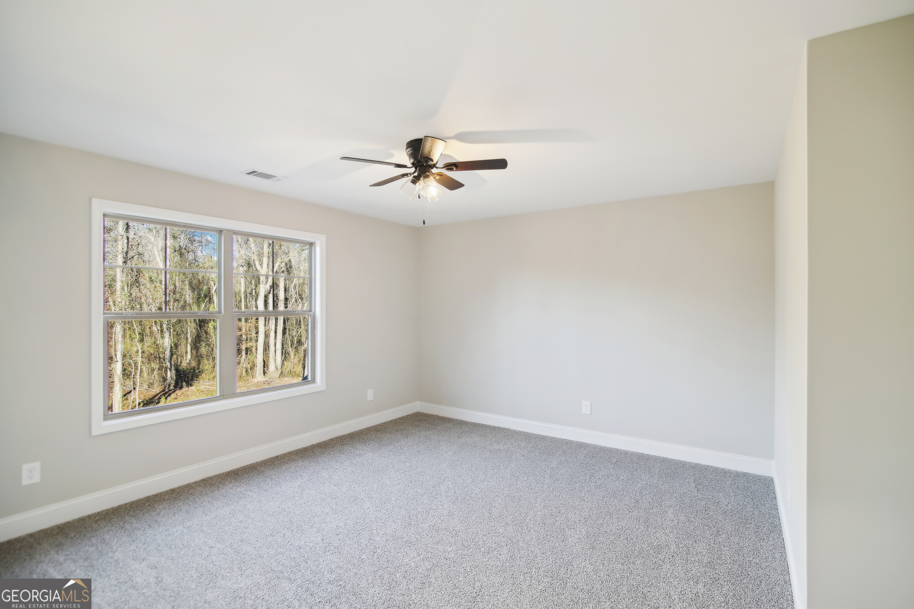 233 Irish Hill Drive Property Photo 46