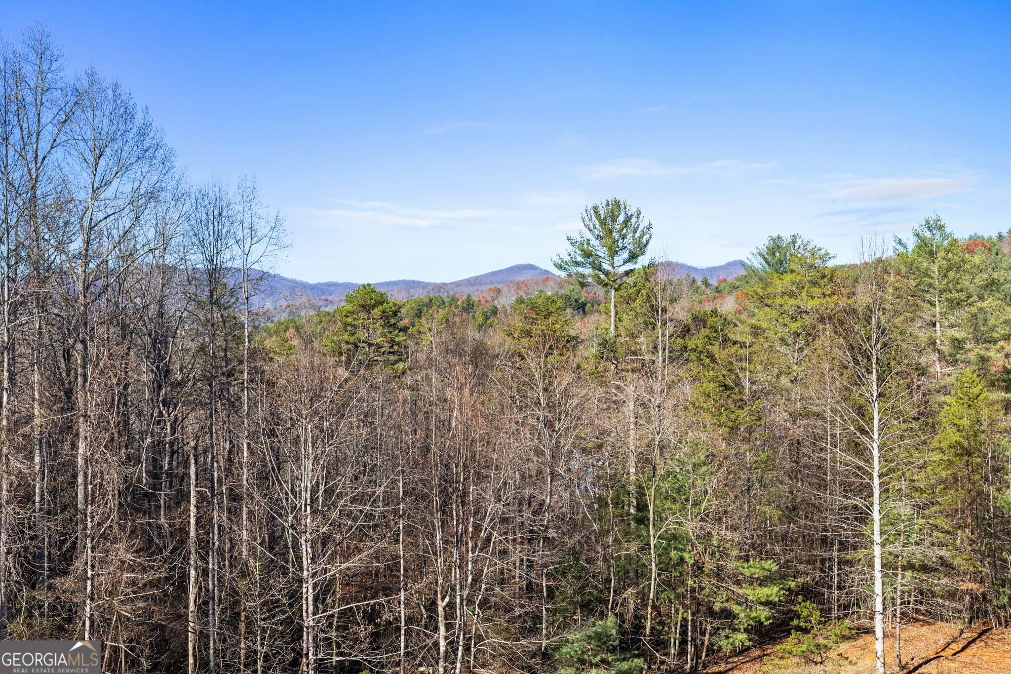 220 Mountain High Drive Property Photo 37