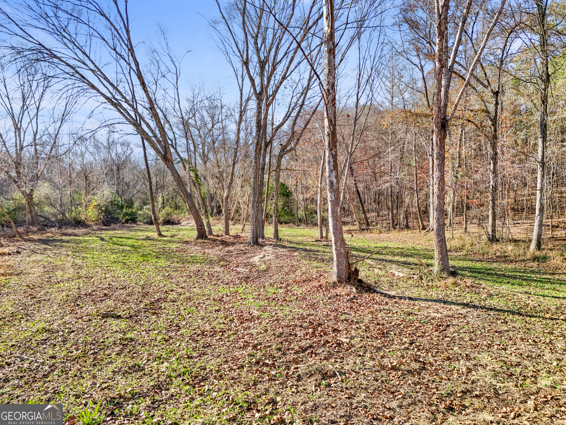 501 Raleigh Road Property Photo 87