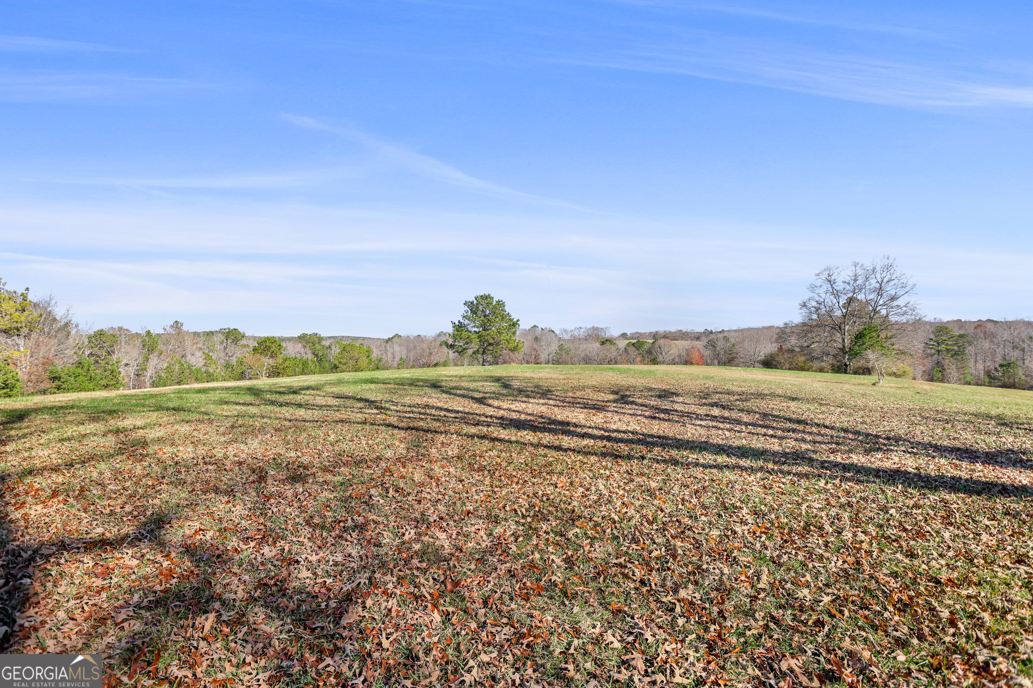 501 Raleigh Road Property Photo 96