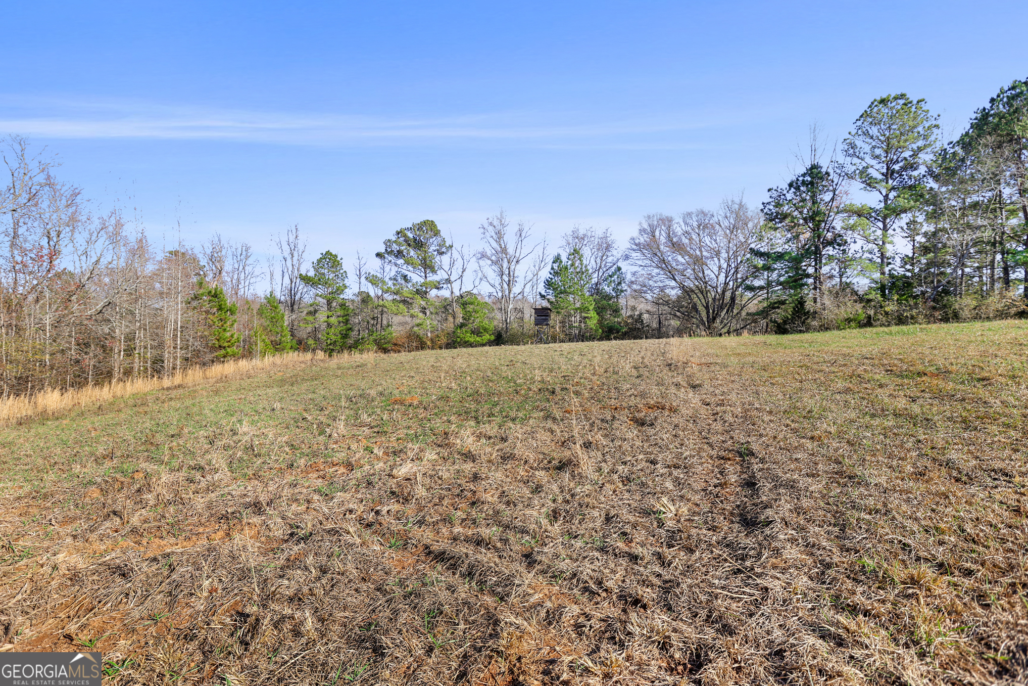 501 Raleigh Road Property Photo 99