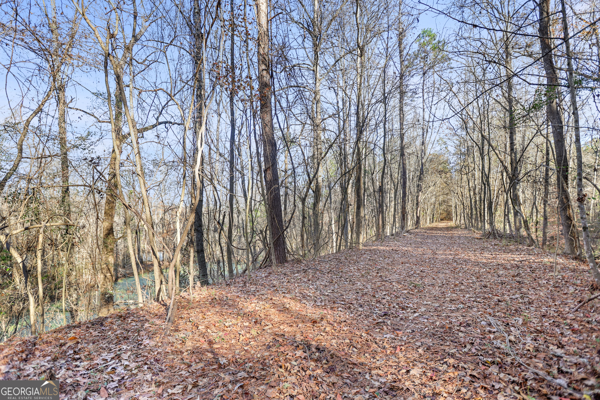 501 Raleigh Road Property Photo 101