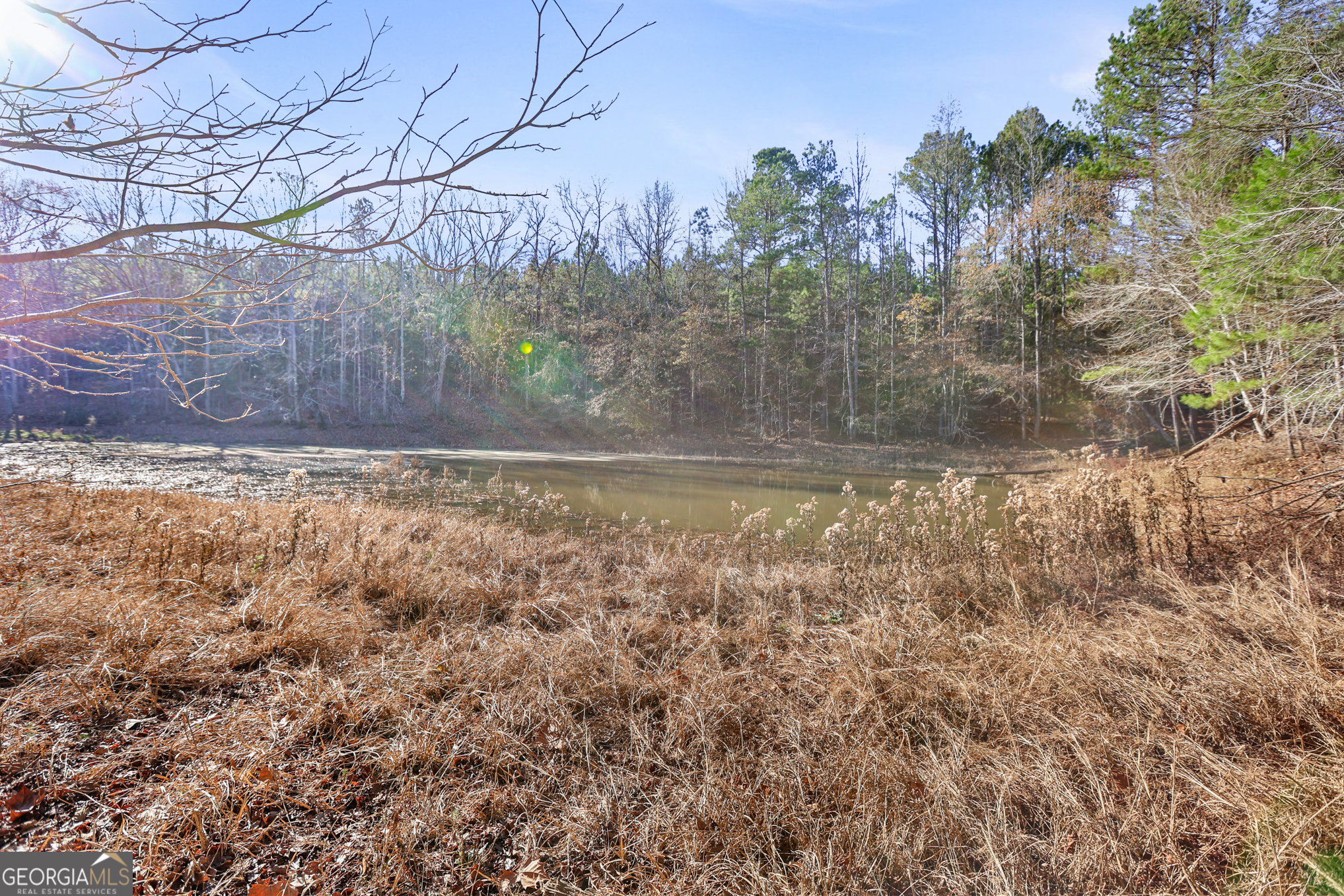 501 Raleigh Road Property Photo 102