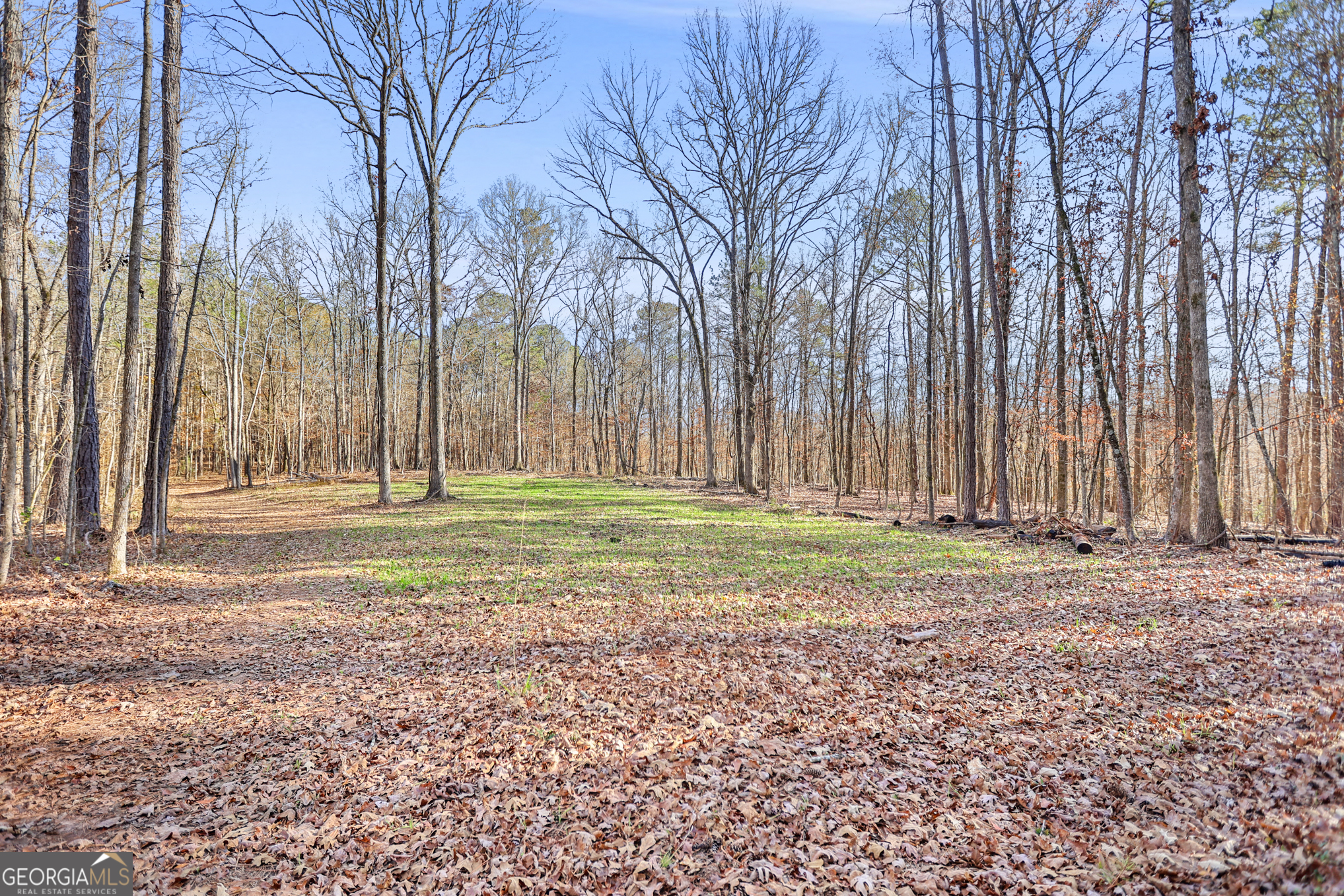 501 Raleigh Road Property Photo 104