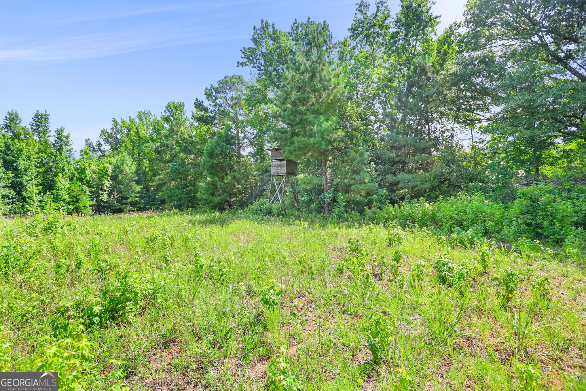 501 Raleigh Road Property Photo 105