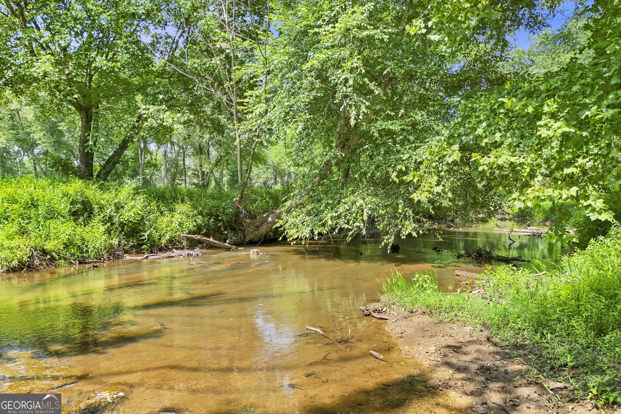 501 Raleigh Road Property Photo 111